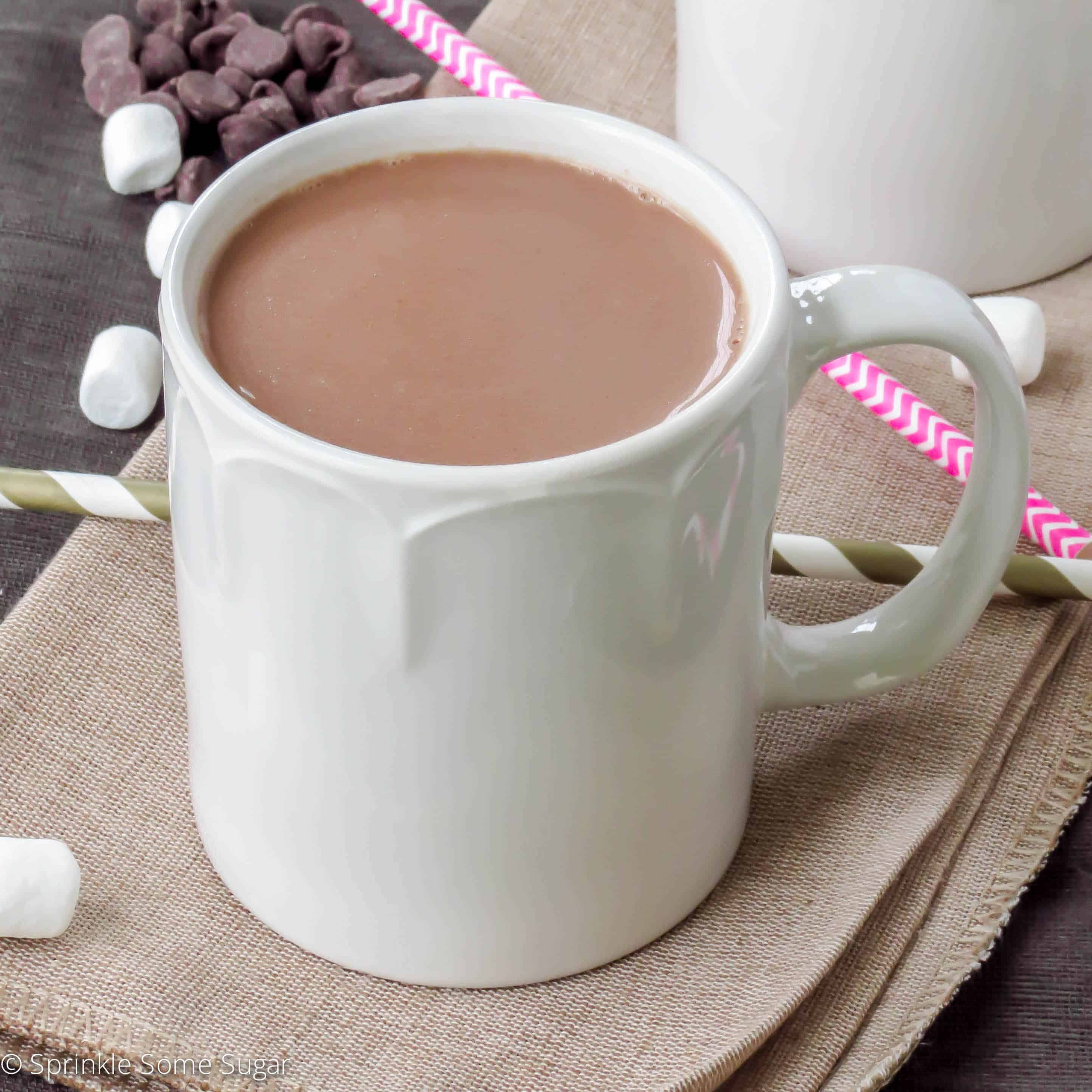 Mug of homemade hot chocolate.