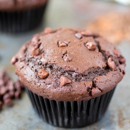 Double chocolate muffin.