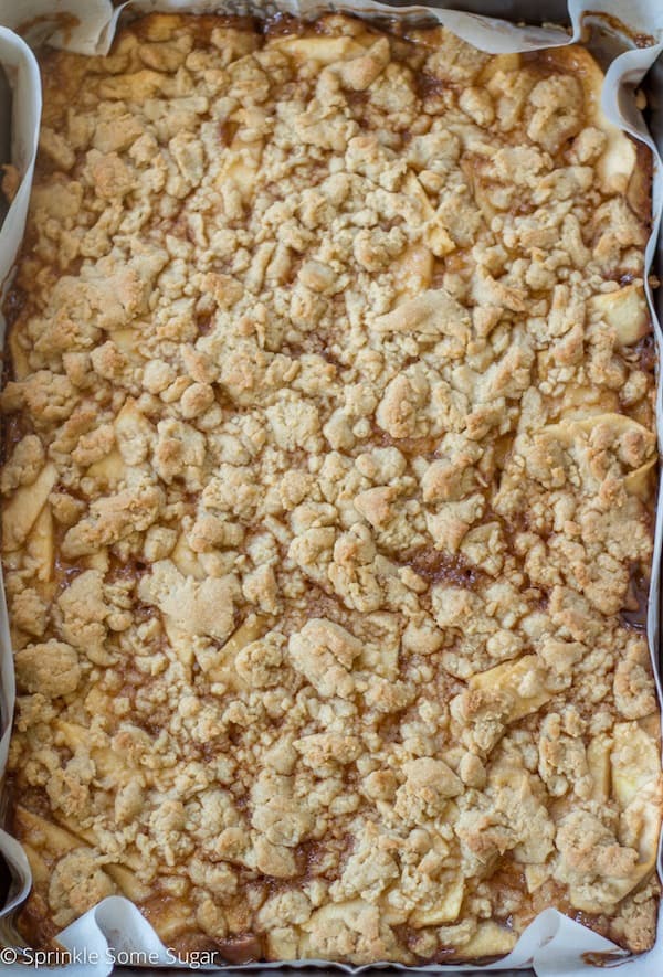 Finished caramel apple shortbread bars in pan before cutting.